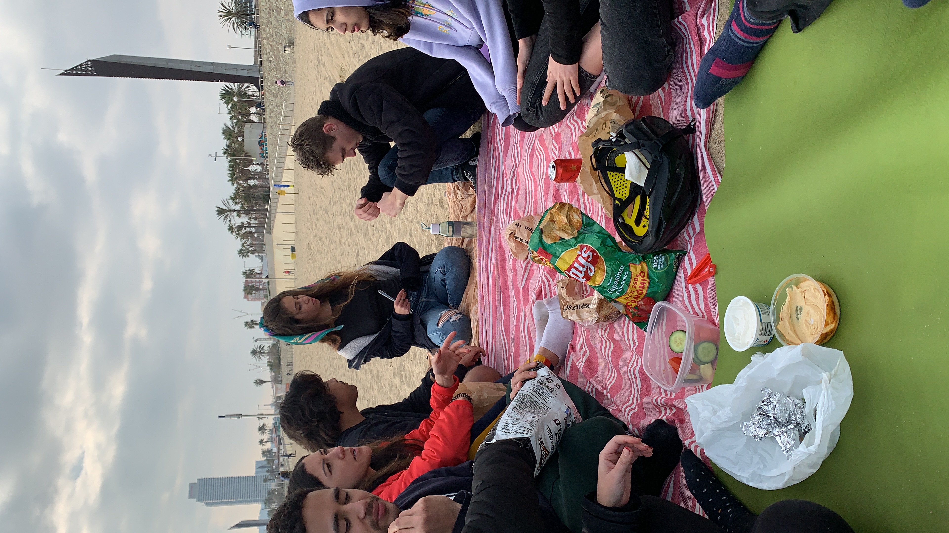 picnic at the beach