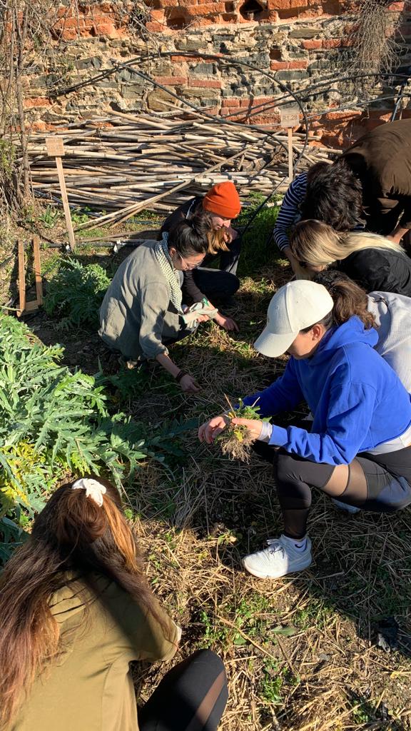 Valldaura field trip