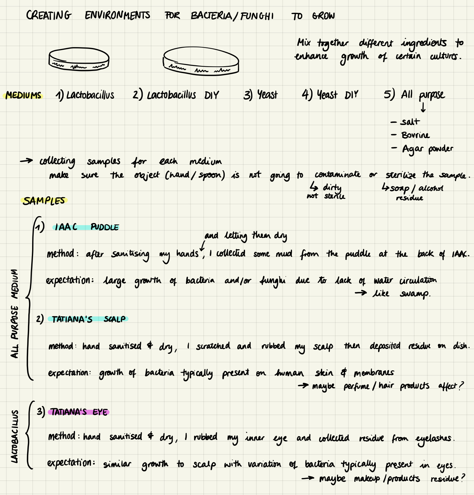 the recipe mediums