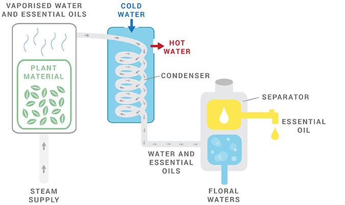 Distillation graph